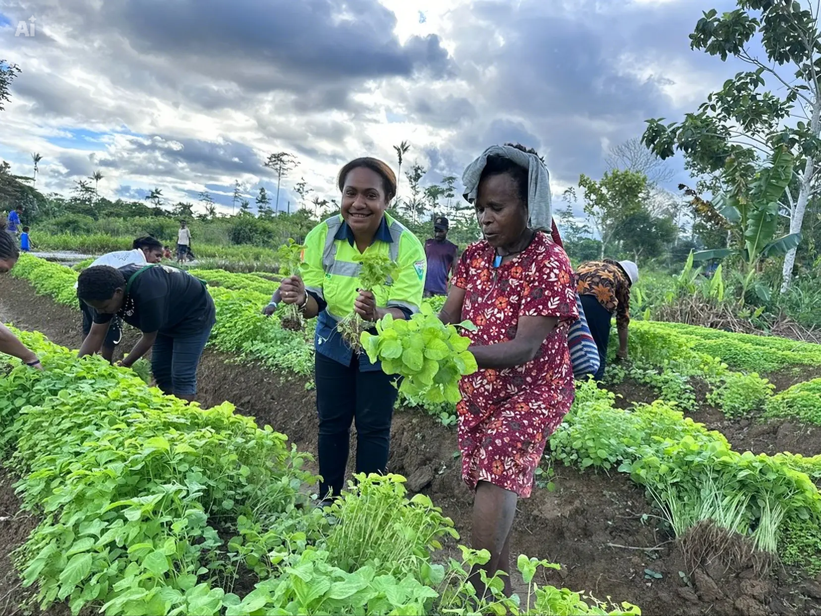 Two women, one in a high-visibility safety vest and another in a patterned red dress, smile while harvesting leafy green vegetables in a vibrant community garden.