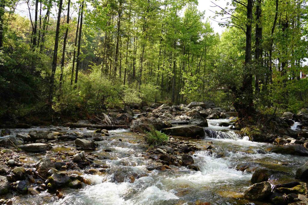 Barito Renewables subsidiary Star Energy Geothermal Water Catchment and Spring Revitalization Program: water spring shoot